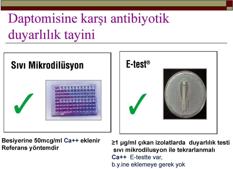 μg/ml çıkan izolatlarda duyarlılık testi sıvı