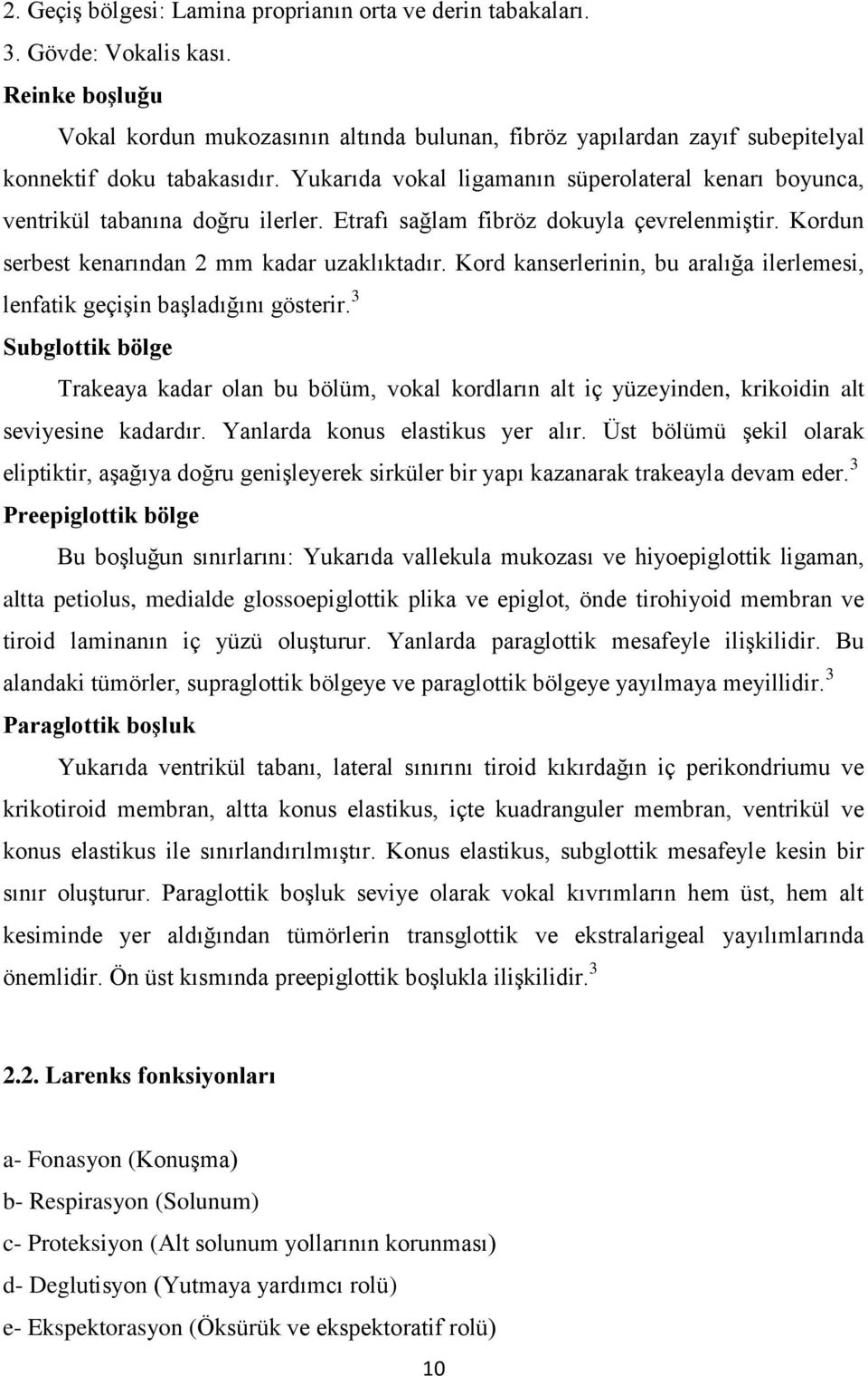 Yukarıda vokal ligamanın süperolateral kenarı boyunca, ventrikül tabanına doğru ilerler. Etrafı sağlam fibröz dokuyla çevrelenmiştir. Kordun serbest kenarından 2 mm kadar uzaklıktadır.