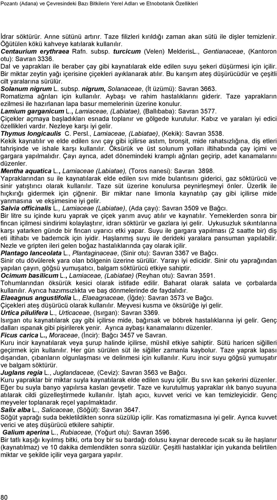 Dal ve yaprakları ile beraber çay gibi kaynatılarak elde edilen suyu şekeri düşürmesi için içilir. Bir miktar zeytin yağı içerisine çiçekleri ayıklanarak atılır.