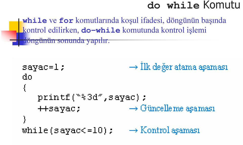 başında kontrol edilirken, do-while