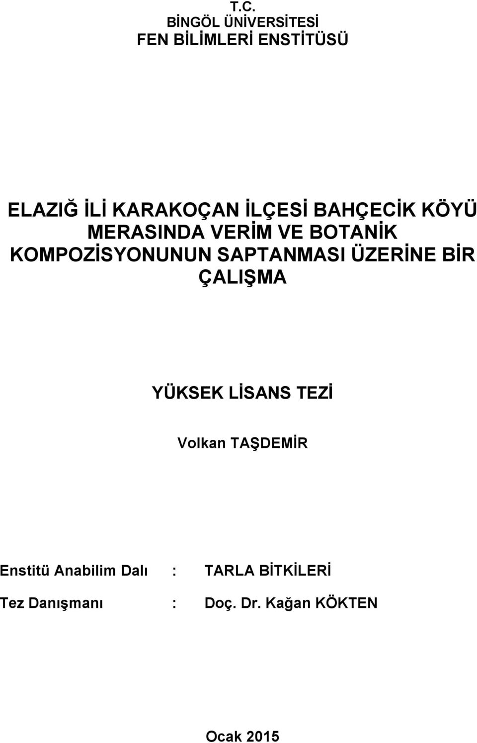 SAPTANMASI ÜZERİNE BİR ÇALIŞMA YÜKSEK LİSANS TEZİ Volkan TAŞDEMİR