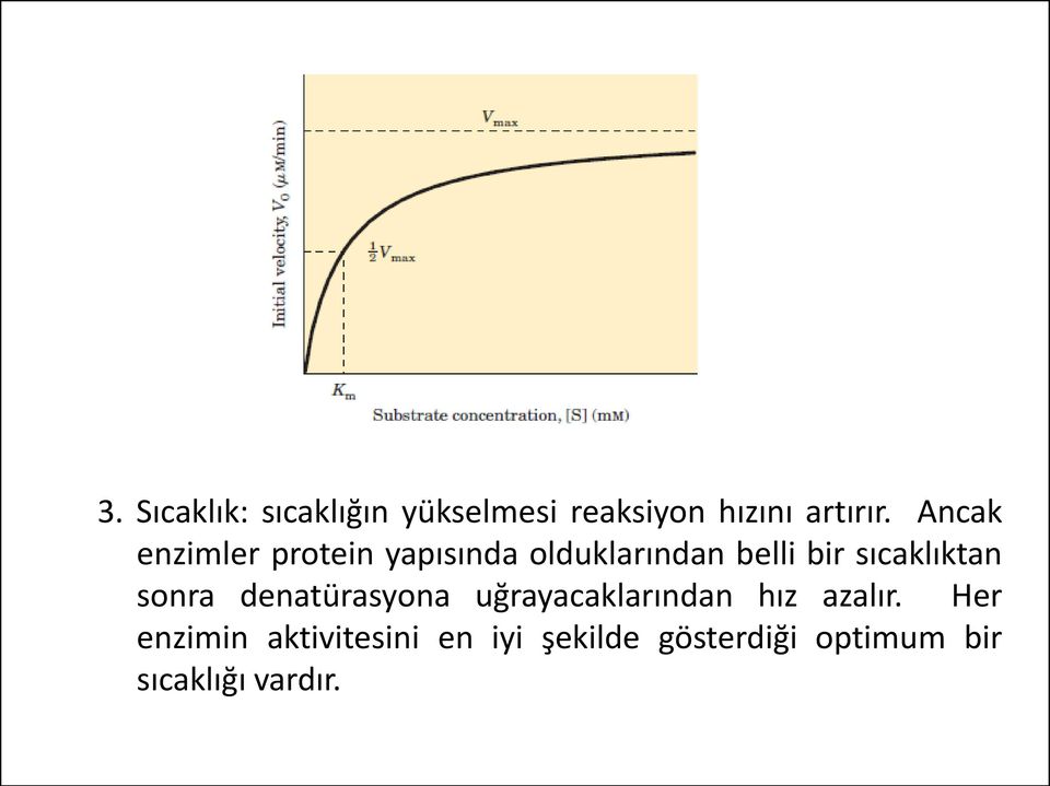 sıcaklıktan sonra denatürasyona uğrayacaklarından hız azalır.