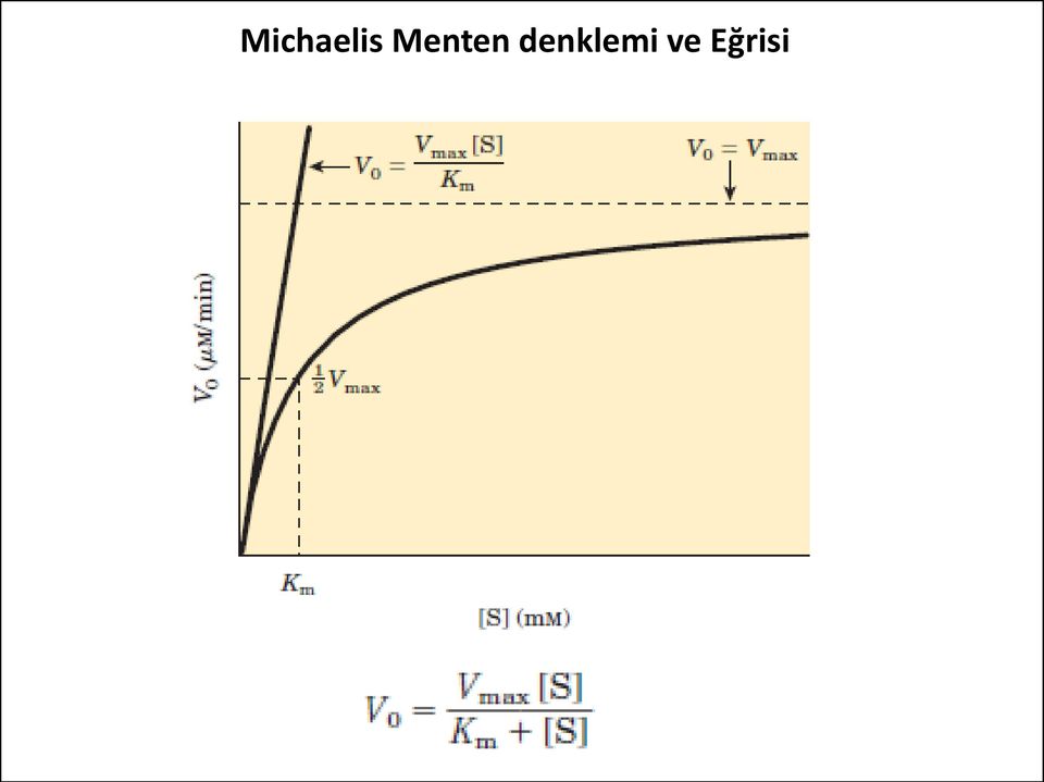 denklemi