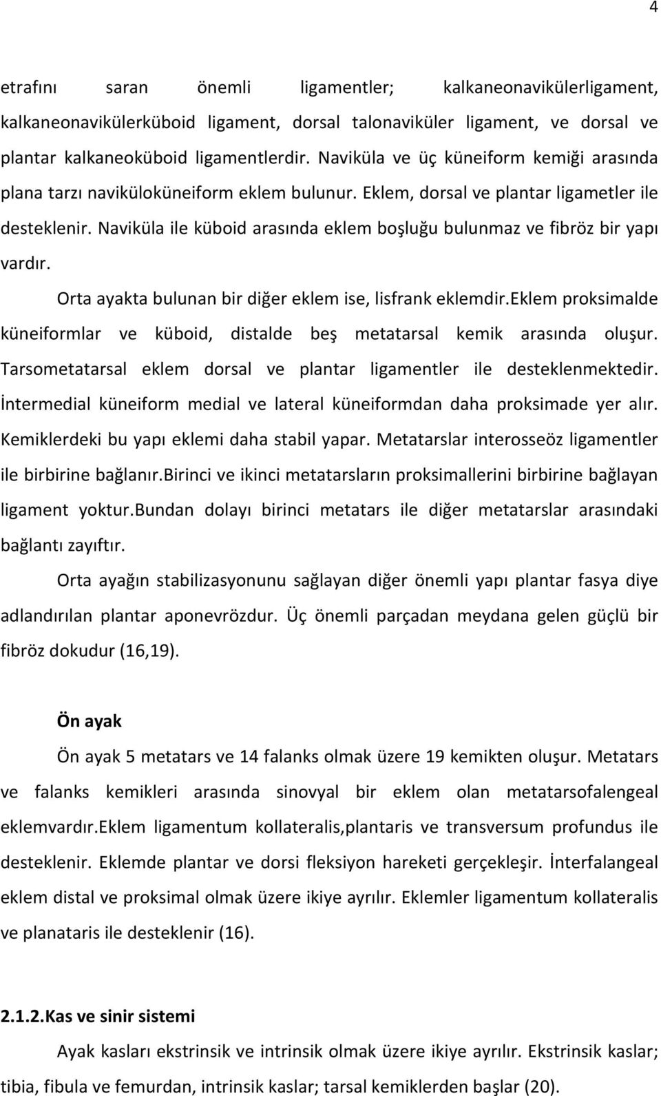 Naviküla ile küboid arasında eklem boşluğu bulunmaz ve fibröz bir yapı vardır. Orta ayakta bulunan bir diğer eklem ise, lisfrank eklemdir.