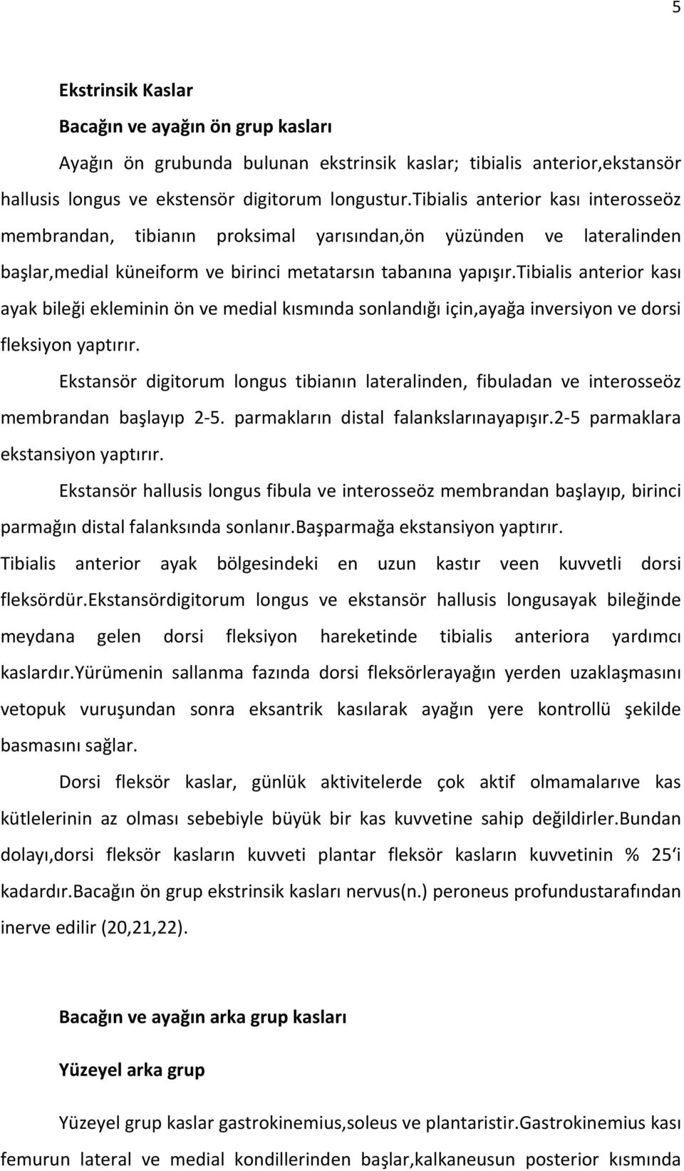 tibialis anterior kası ayak bileği ekleminin ön ve medial kısmında sonlandığı için,ayağa inversiyon ve dorsi fleksiyon yaptırır.