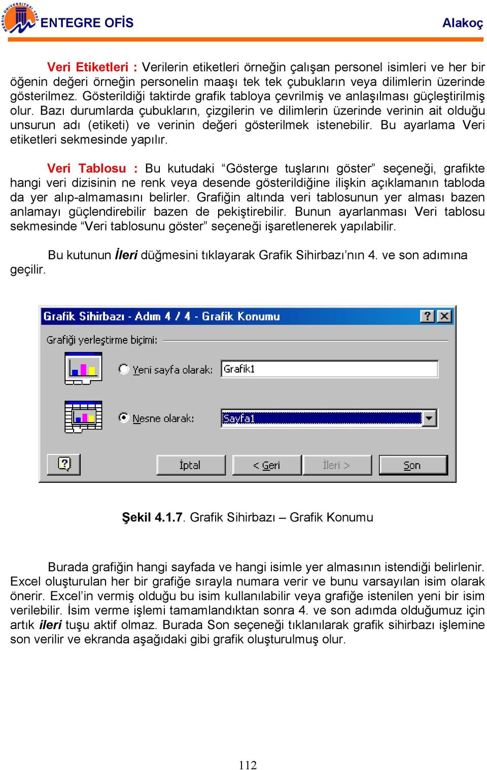 Bazı durumlarda çubukların, çizgilerin ve dilimlerin üzerinde verinin ait olduğu unsurun adı (etiketi) ve verinin değeri gösterilmek istenebilir. Bu ayarlama Veri etiketleri sekmesinde yapılır.