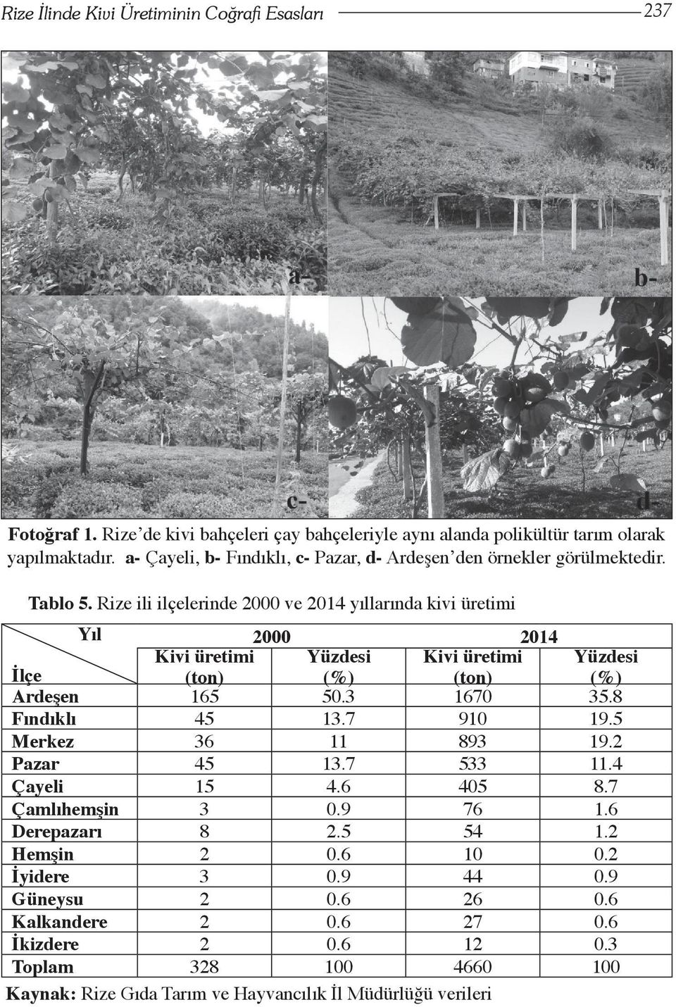 Rize ili ilçelerinde 2000 ve 2014 yıllarında kivi üretimi Yıl 2000 2014 Kivi üretimi Yüzdesi Kivi üretimi Yüzdesi İlçe (ton) (%) (ton) (%) Ardeşen 165 50.3 1670 35.8 Fındıklı 45 13.