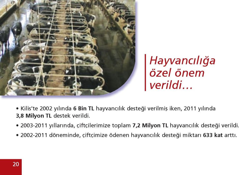 2003-2011 yıllarında, çiftçilerimize toplam 7,2 Milyon TL hayvancılık desteği