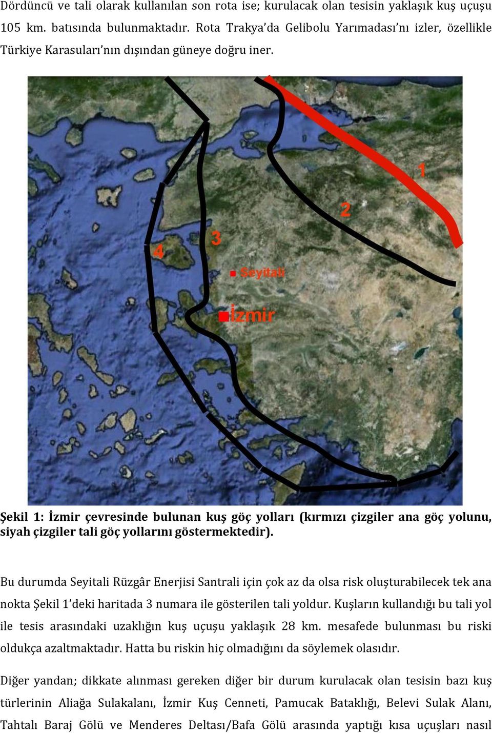 Şekil 1: İzmir çevresinde bulunan kuş göç yolları (kırmızı çizgiler ana göç yolunu, siyah çizgiler tali göç yollarını göstermektedir).