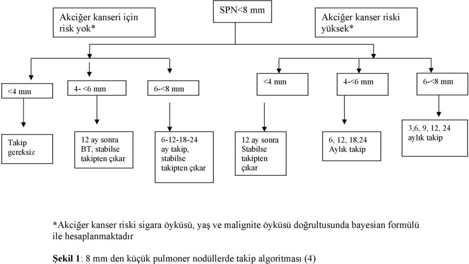 takipten çıkar 6, 12, 18,24 Aylık takip 3,6, 9, 12, 24 aylık takip *Akciğer kanser riski sigara öyküsü, yaş ve