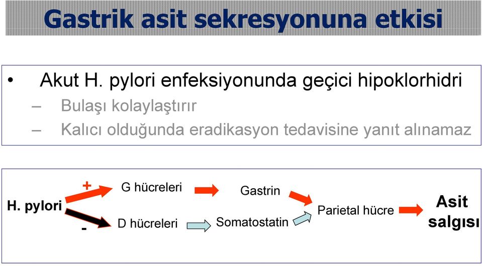 kolaylaştırır Kalıcı olduğunda eradikasyon tedavisine yanıt