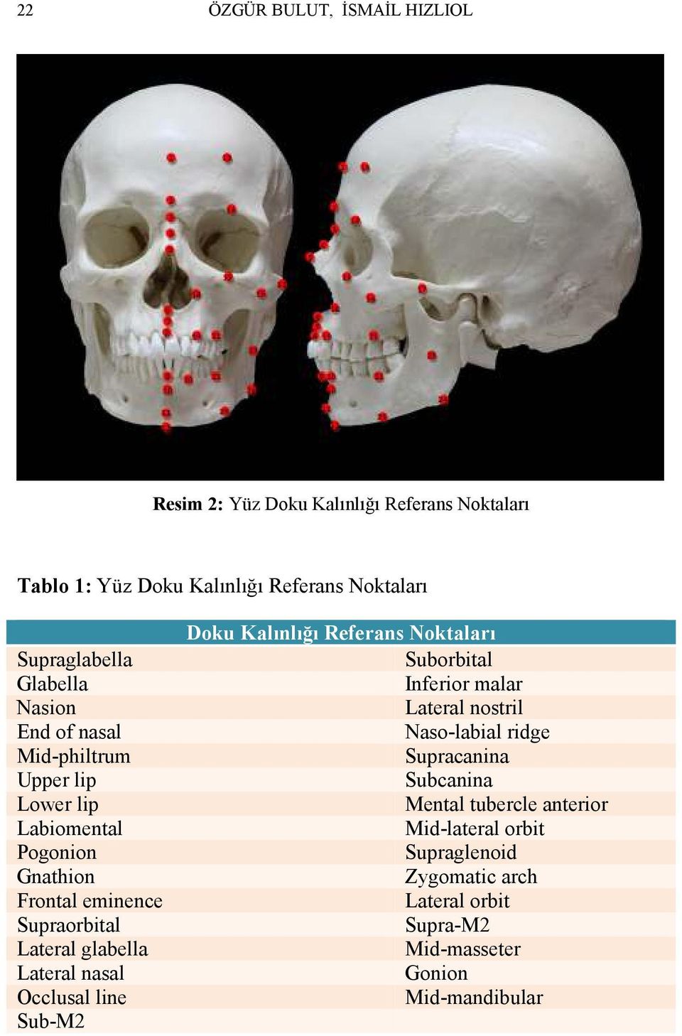 Lateral nasal Occlusal line Sub-M2 Doku Kalınlığı Referans Noktaları Suborbital Inferior malar Lateral nostril Naso-labial ridge