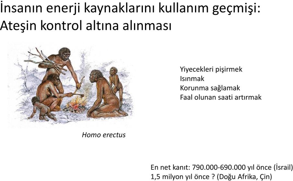 Faal olunan saati artırmak Homo erectus En net kanıt: 790.