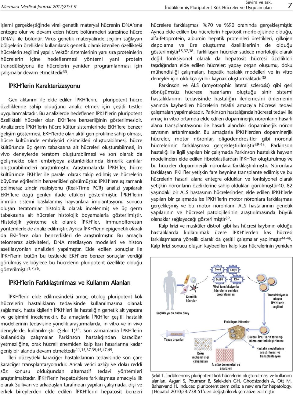 Vektör sistemlerinin yanı sıra proteinlerin hücrelerin içine hedeflenmesi yöntemi yani protein transdüksiyonu ile hücrelerin yeniden programlanması için çalışmalar devam etmektedir 35.