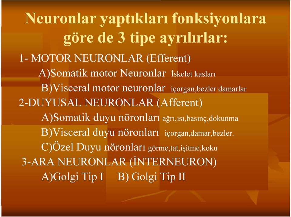 (Afferent) A)Somatik duyu nöronları ağrı,ısı,basınç,dokunma B)Visceral duyu nöronları