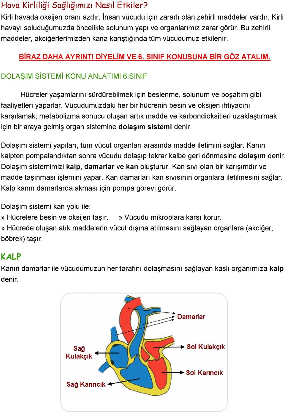 SINIF KONUSUNA BİR GÖZ ATALIM. DOLAŞIM SİSTEMİ KONU ANLATIMI 6.SINIF Hücreler yaşamlarını sürdürebilmek için beslenme, solunum ve boşaltım gibi faaliyetleri yaparlar.