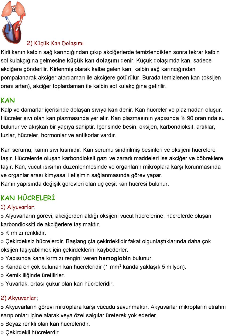 Burada temizlenen kan (oksijen oranı artan), akciğer toplardamarı ile kalbin sol kulakçığına getirilir. KAN Kalp ve damarlar içerisinde dolaşan sıvıya kan denir. Kan hücreler ve plazmadan oluşur.