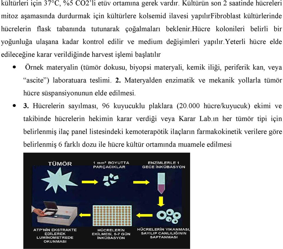 hücre kolonileri belirli bir yoğunluğa ulaşana kadar kontrol edilir ve medium değişimleri yapılır.