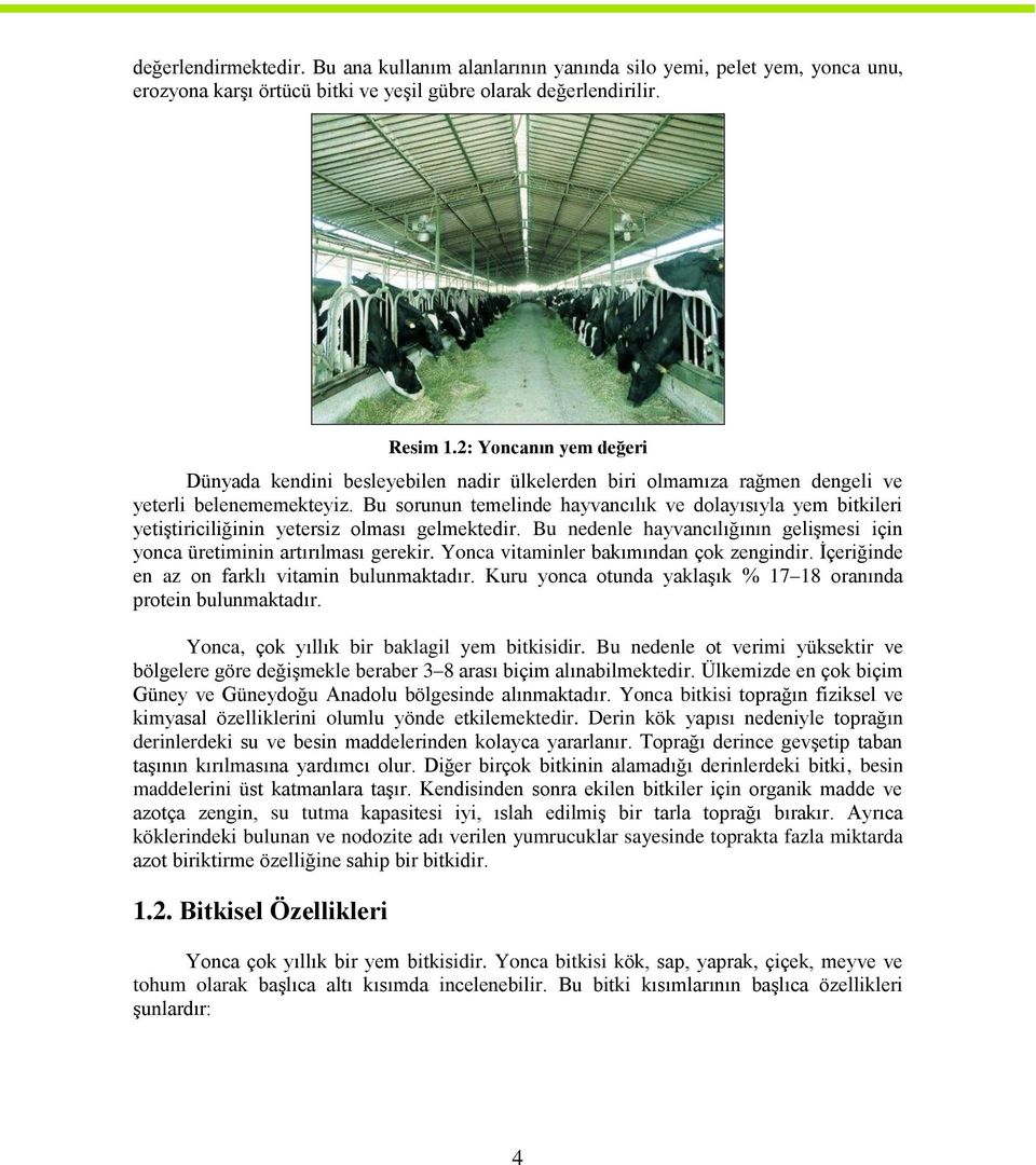 Bu sorunun temelinde hayvancılık ve dolayısıyla yem bitkileri yetiştiriciliğinin yetersiz olması gelmektedir. Bu nedenle hayvancılığının gelişmesi için yonca üretiminin artırılması gerekir.