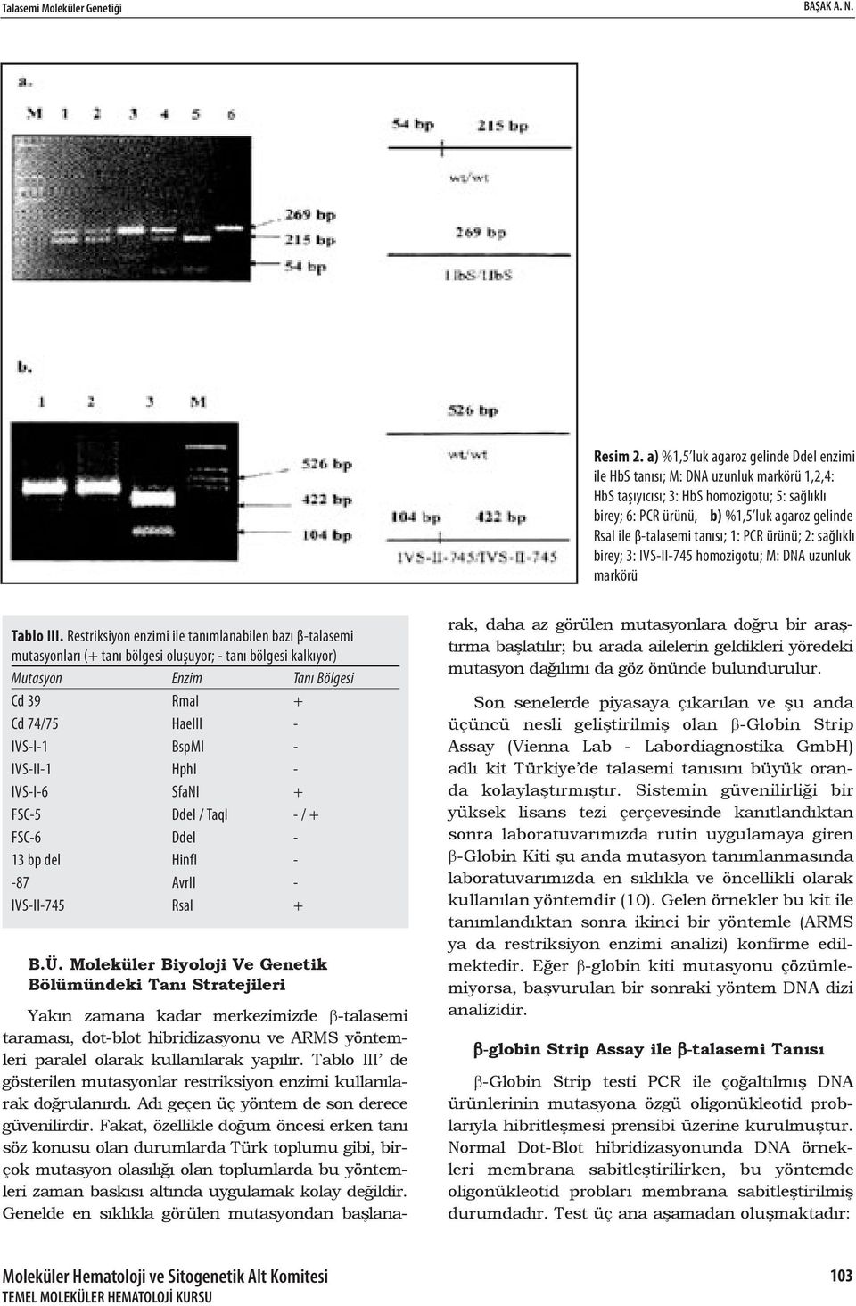 tanısı; 1: PCR ürünü; 2: sağlıklı birey; 3: IVS-II-745 homozigotu; M: DNA uzunluk markörü Tablo III.