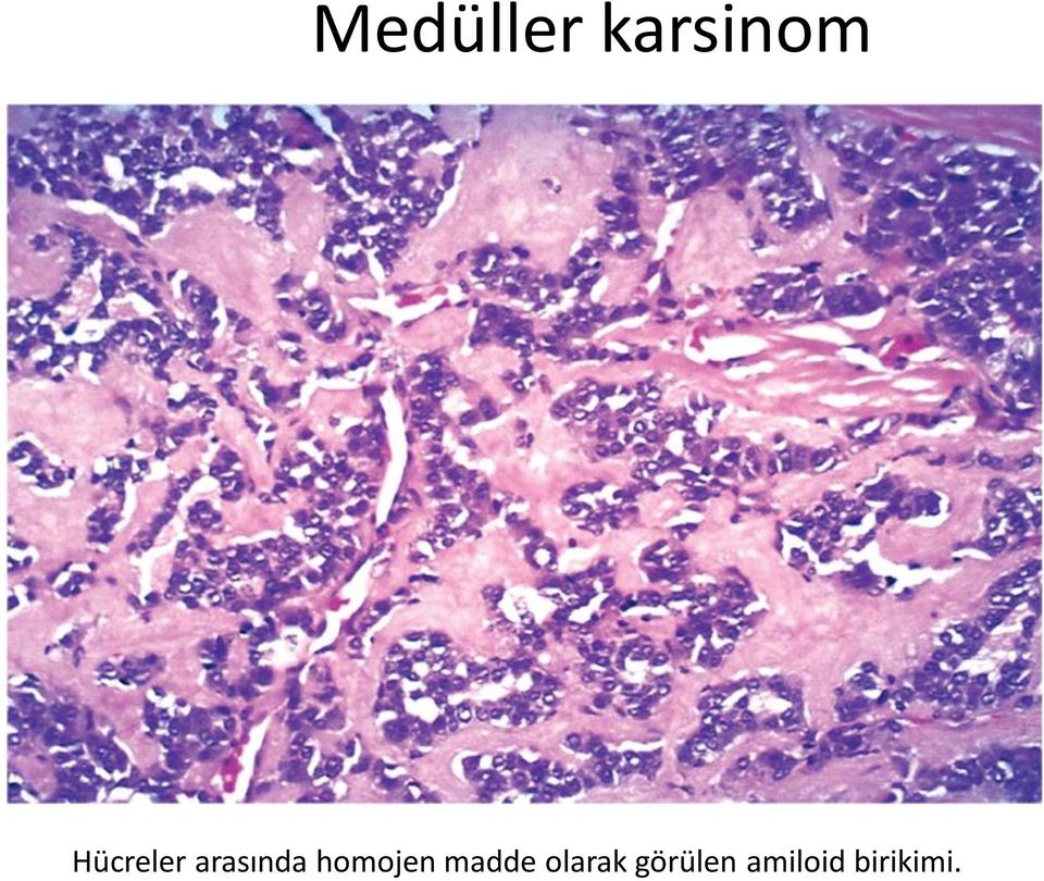 homojen madde olarak