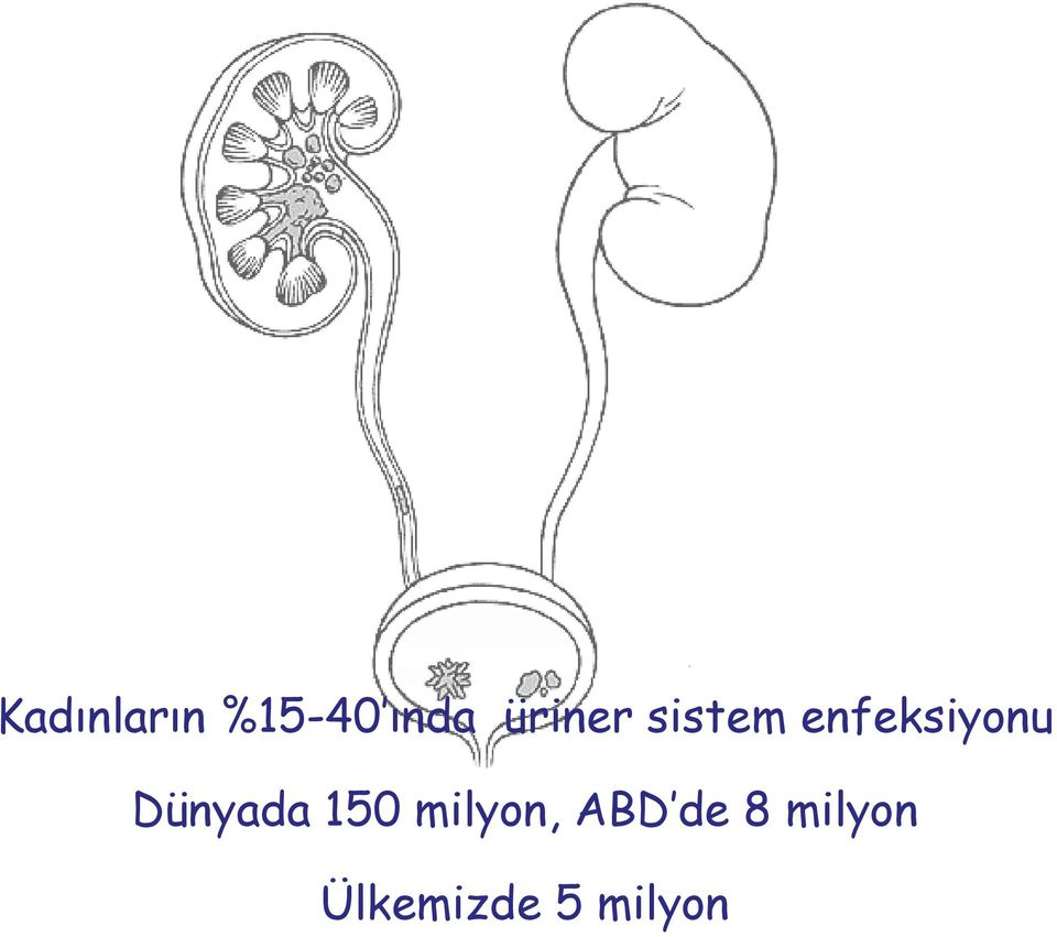 Dünyada 150 milyon, ABD