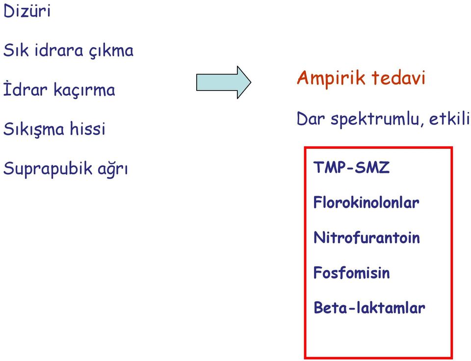 tedavi Dar spektrumlu, etkili TMP-SMZ