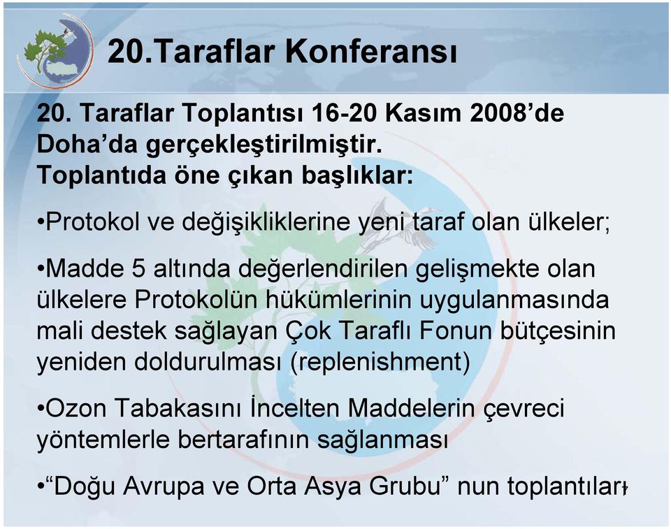 gelişmekte olan ülkelere Protokolün hükümlerinin uygulanmasında mali destek sağlayan Çok Taraflı Fonun bütçesinin yeniden