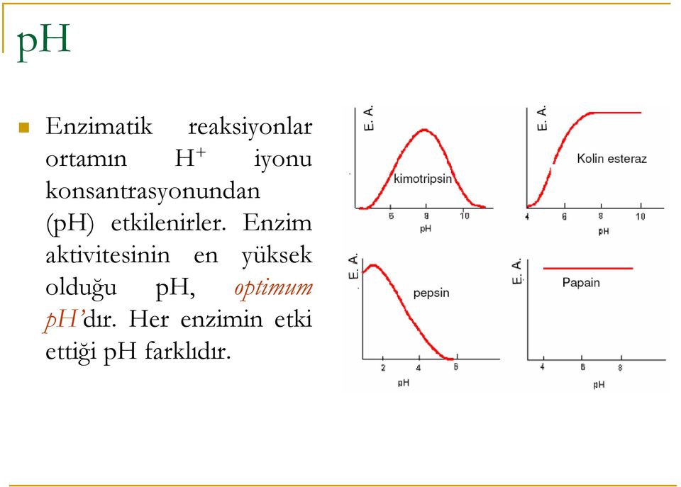 Enzim aktivitesinin en yüksek olduğu ph,