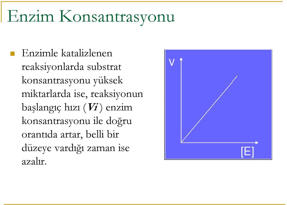 reaksiyonun başlangıç ş hızı (Vi ) enzim konsantrasyonu