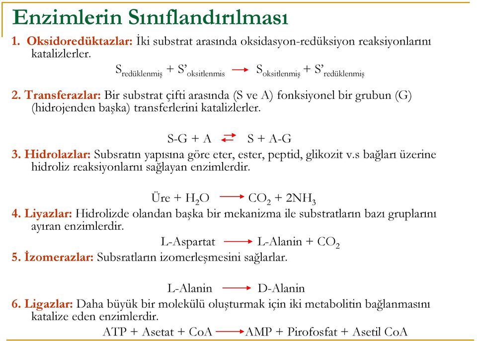 Hidrolazlar: Subsratın yapısına göre eter, ester, peptid, glikozit v.s bağları üzerine hidroliz reaksiyonlarnı sağlayan enzimlerdir. Üre + H 2 O CO 2 + 2NH 3 4.