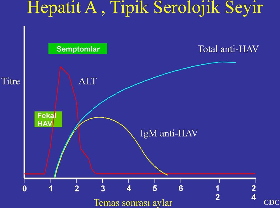 ALT Fekal HAV IgM anti-hav 0 1 2 3