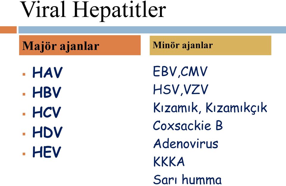 EBV,CMV HSV,VZV Kızamık, KKKA