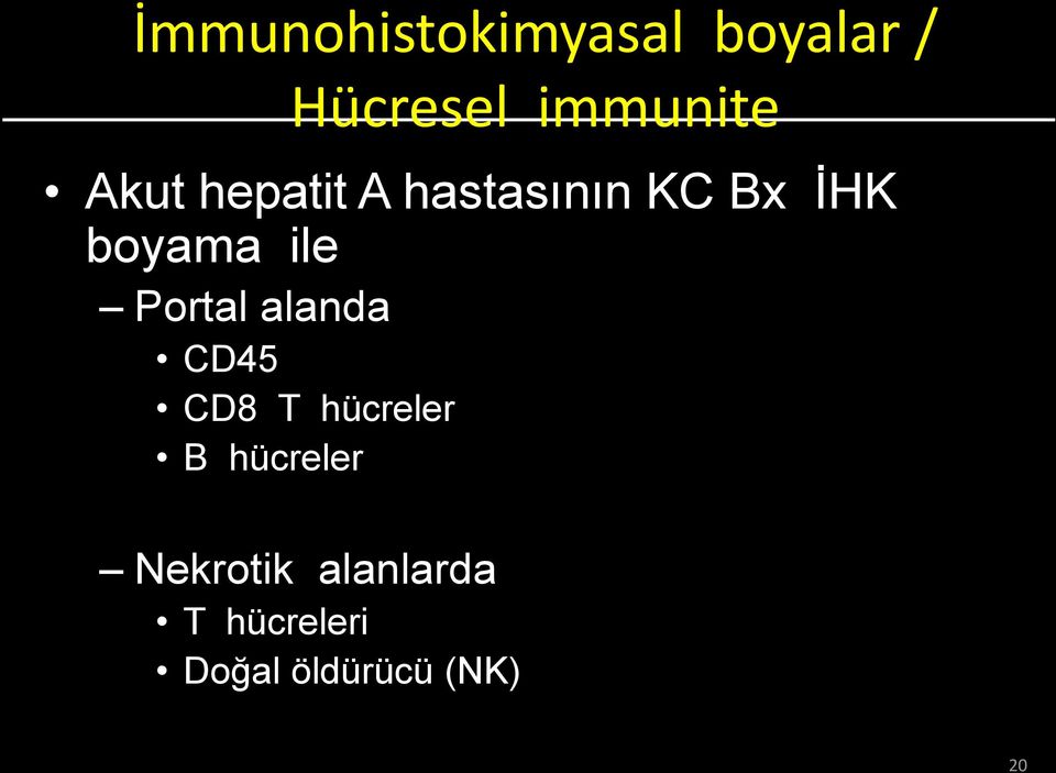 Portal alanda CD45 CD8 T hücreler B hücreler