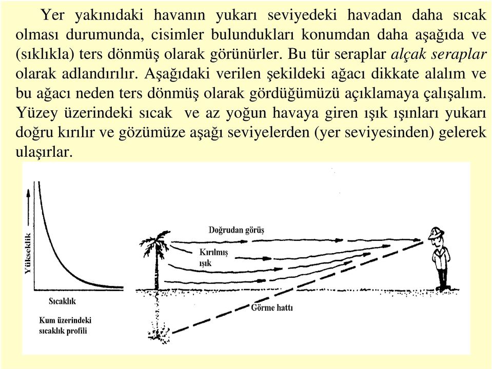 Aşağıdaki verilen şekildeki ağacı dikkate alalım ve bu ağacı neden ters dönmüş olarak gördüğümüzü açıklamaya çalışalım.