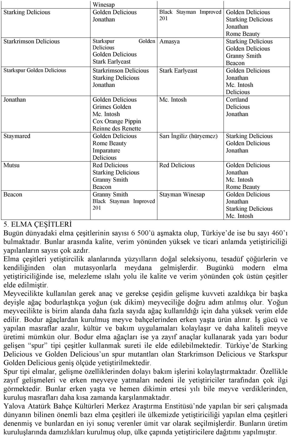 Amasya Stark Earlyeast Mc. Intosh Sarı İngiliz (hüryemez) Red Delicious Stayman Winesap Starking Delicious Rome Beauty Starking Delicious Granny Smith Beacon Mc.