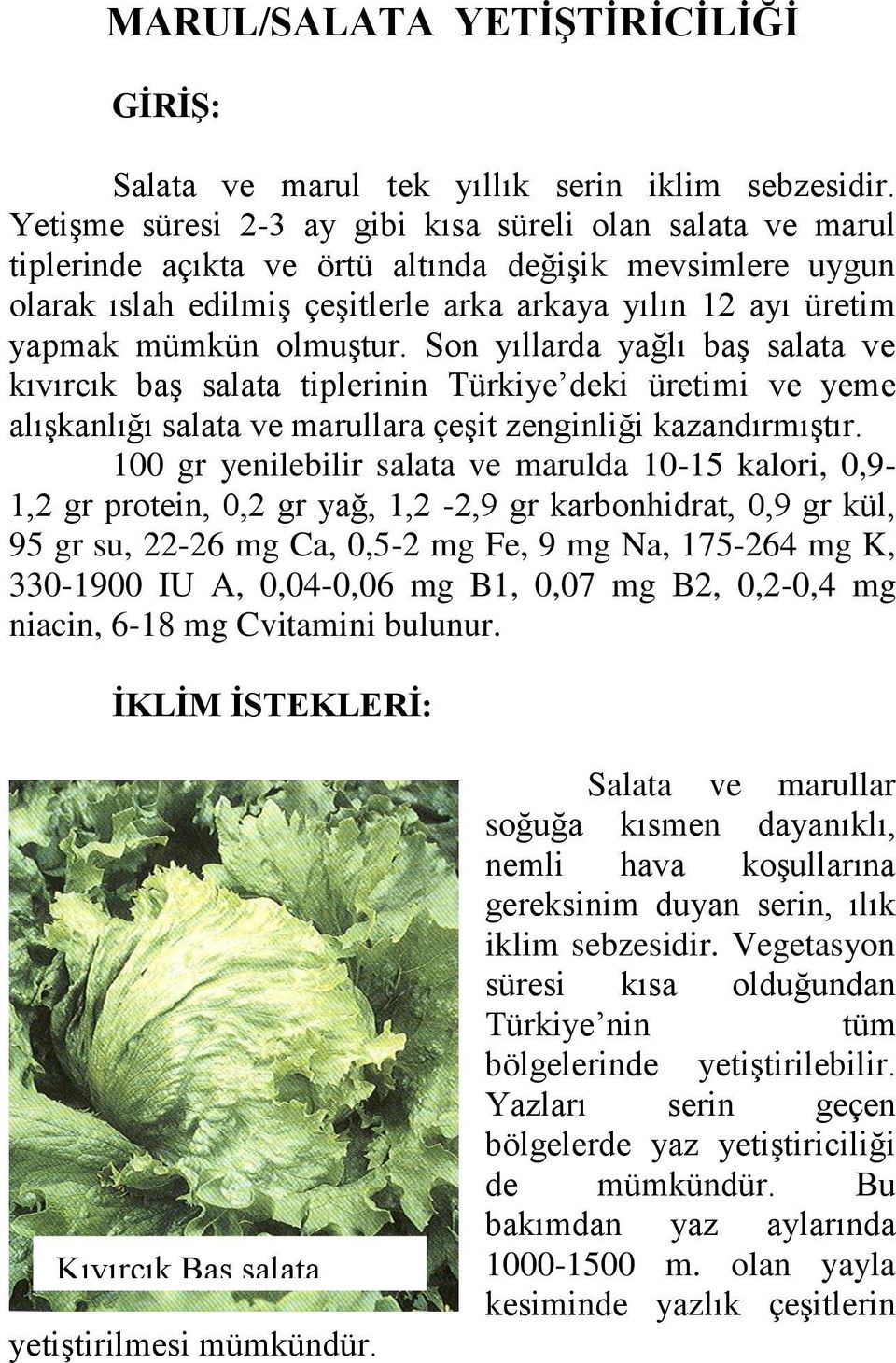 olmuştur. Son yıllarda yağlı baş salata ve kıvırcık baş salata tiplerinin Türkiye deki üretimi ve yeme alışkanlığı salata ve marullara çeşit zenginliği kazandırmıştır.