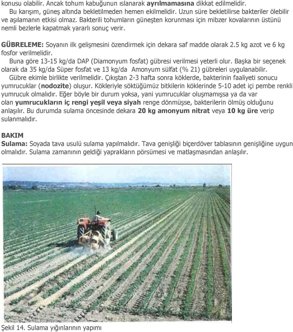 GÜBRELEME: Soyanın ilk gelişmesini özendirmek için dekara saf madde olarak 2.5 kg azot ve 6 kg fosfor verilmelidir. Buna göre 13-15 kg/da DAP (Diamonyum fosfat) gübresi verilmesi yeterli olur.