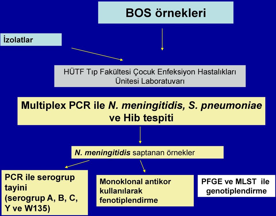 meningitidis saptanan örnekler PCR ile serogrup tayini (serogrup A, B, C, Y ve