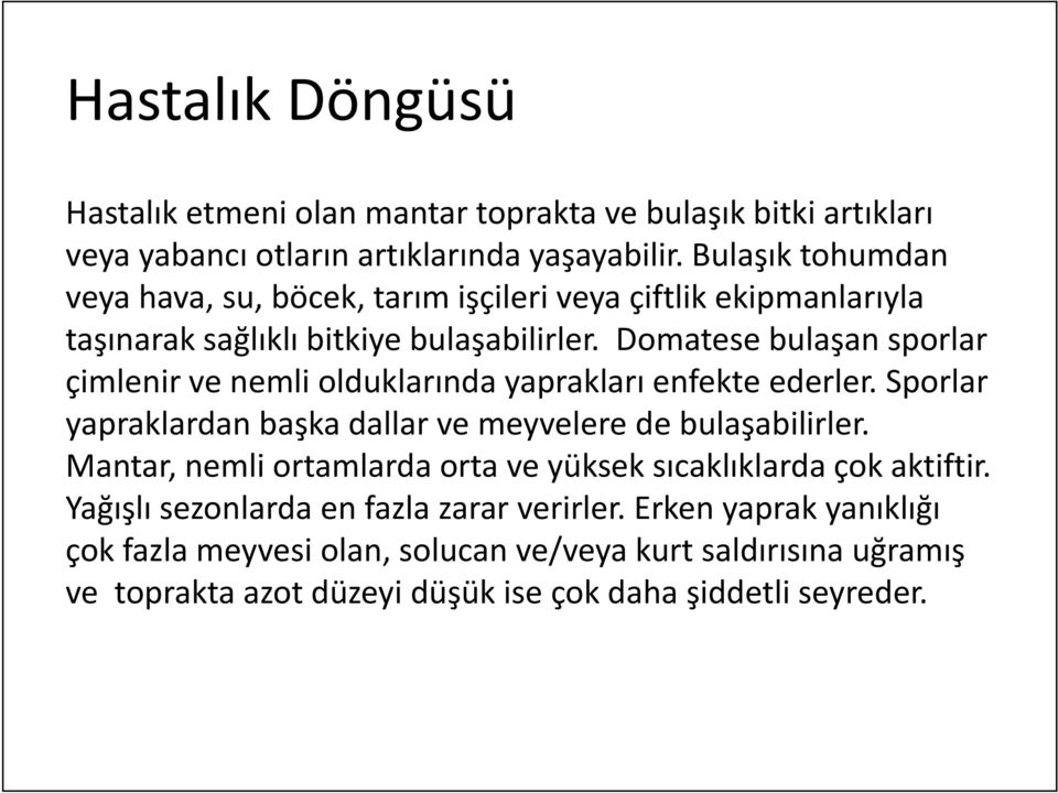 Domatese bulaşan sporlar çimlenir ve nemli olduklarında yp yaprakları enfekte ederler. Sporlar yapraklardan başka dallar ve meyvelere de bulaşabilirler.