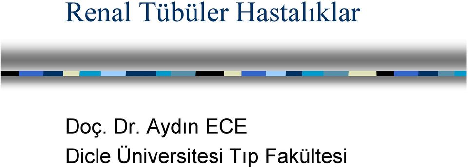 Aydın ECE Dicle