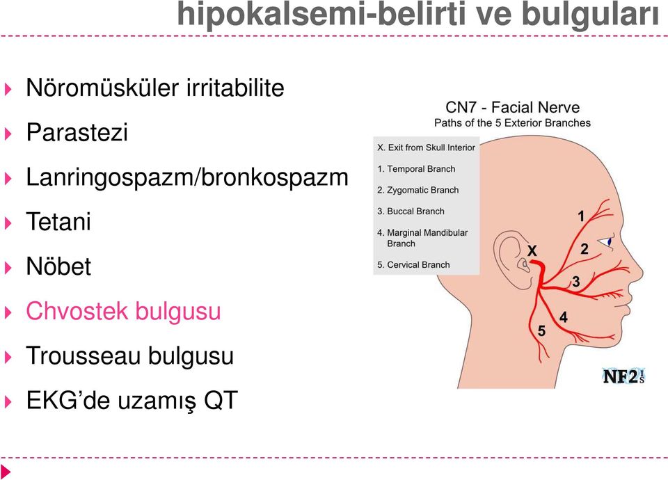 Lanringospazm/bronkospazm Tetani Nöbet