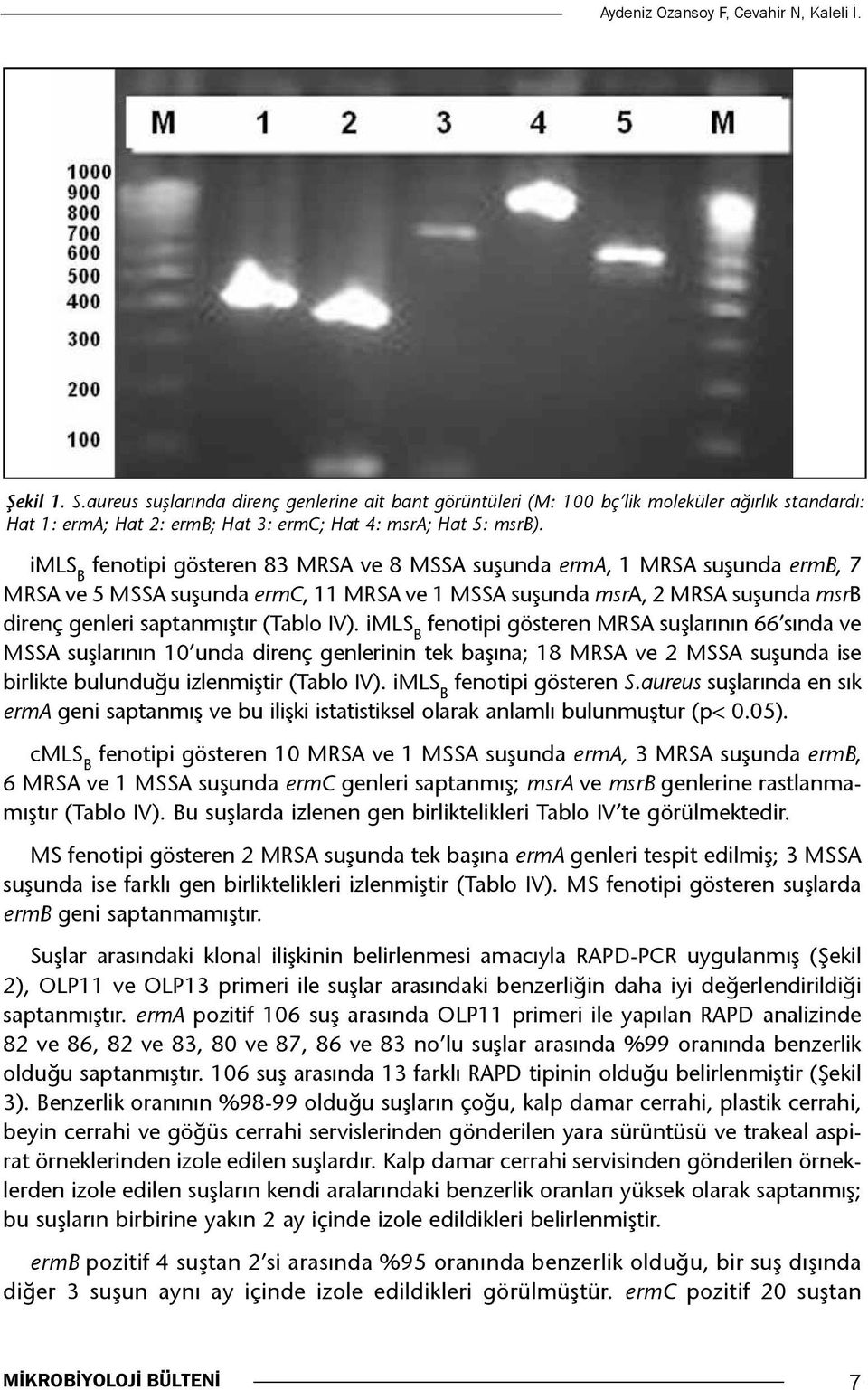 imls B fenotipi gösteren 83 MRSA ve 8 MSSA suşunda erma, 1 MRSA suşunda ermb, 7 MRSA ve 5 MSSA suşunda ermc, 11 MRSA ve 1 MSSA suşunda msra, 2 MRSA suşunda msrb direnç genleri saptanmıştır (Tablo IV).