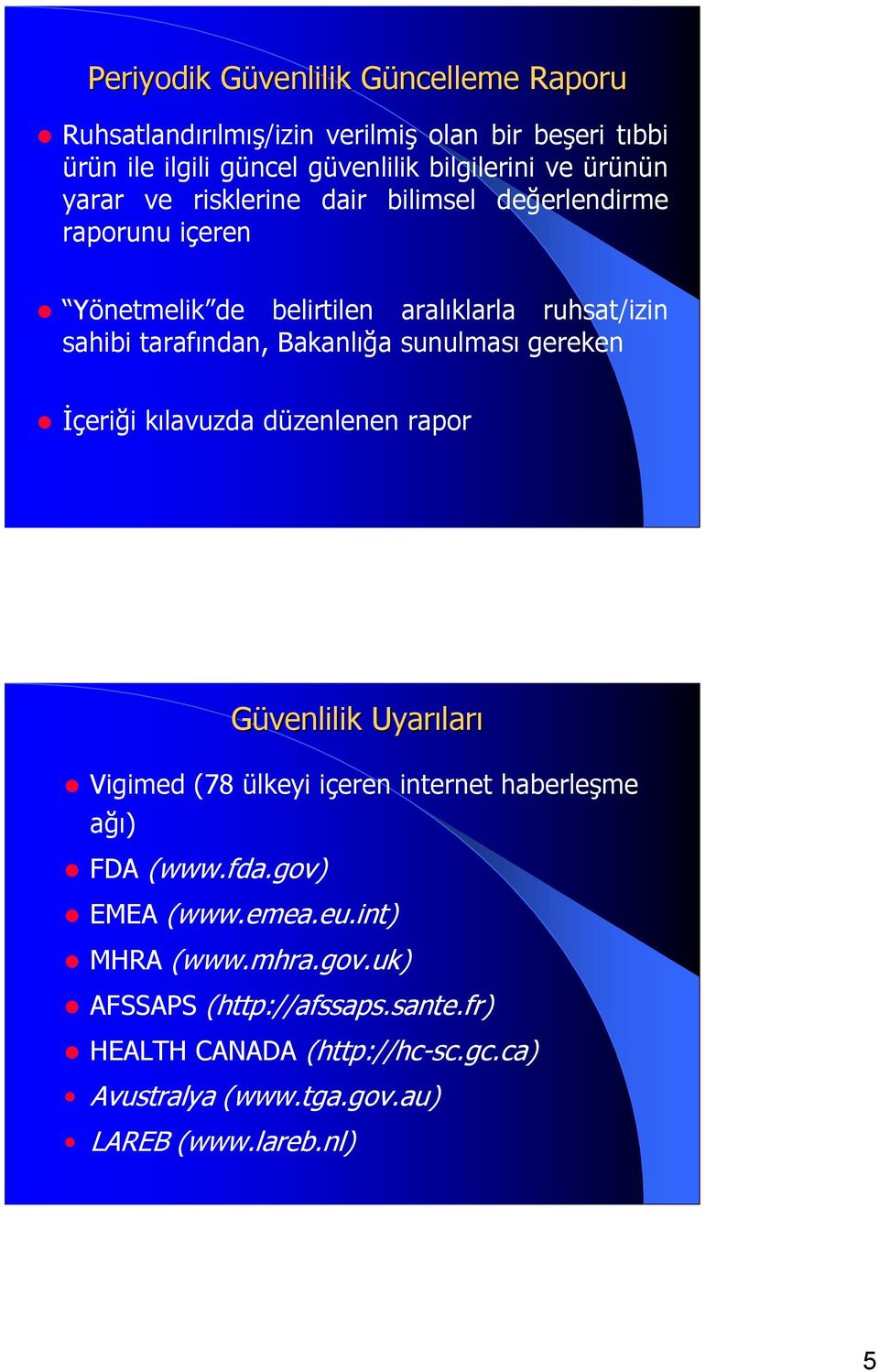 sunulması gereken İçeriği kılavuzda düzenlenen rapor Güvenlilik Uyarıları Vigimed (78 ülkeyi içeren internet haberleşme ağı) FDA (www.fda.