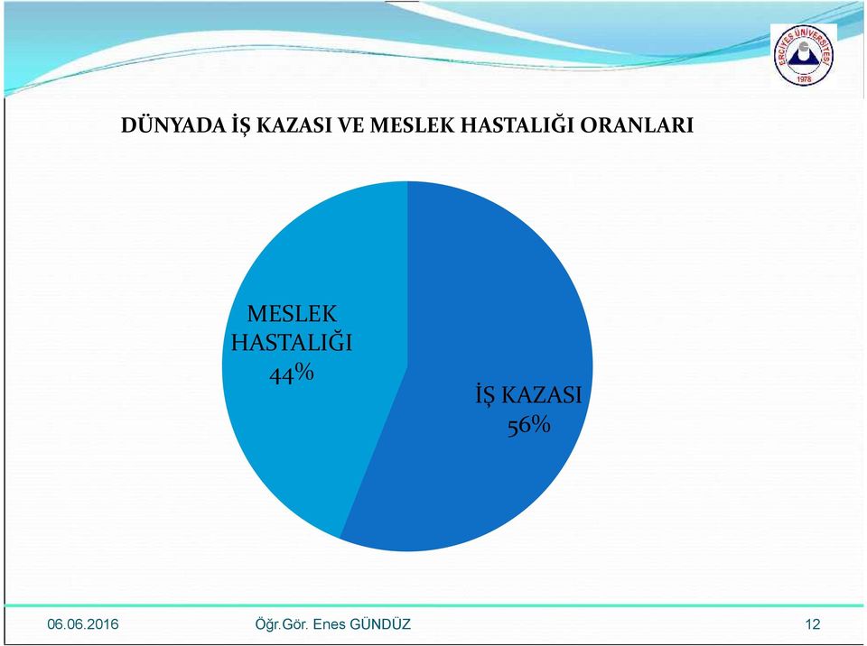 MESLEK HASTALIĞI 44% İŞ