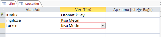 Microsoft Access Veri tabanı