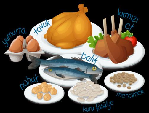 Besin Grupları 1.Grup: Et, Tavuk, Balık, Yumurta, Kuru Baklagiller Grubu: Protein, demir, çinko, fosfor, magnezyum, B6, B12, B1, A vitamini ve posa (kuru baklagiller) içerir.