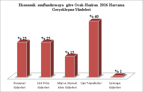 FAALİYETLER Üniversite Bütçesi Ocak-Haziran 2016 2016 Mali Yılı Üniversite bütçesi 47.603.000 TL olarak belirlenmiştir.