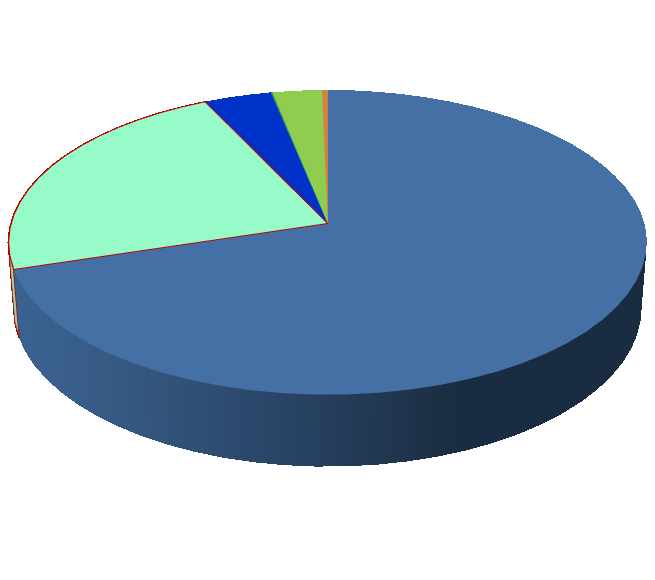 Satışlar(Milyon TL) 1,2 1,0 İhracat: Denizli Cam ürünleri, gelişmiş Avrupa ülkeleri, ABD ve Almanya başta olmak üzere, 5 kıtada 50 ye yakın ülkeye ihraç edilmektedir.