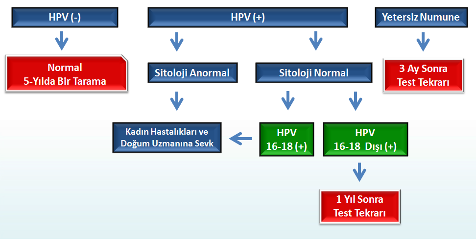 HPV Bazlı Tarama Programı Yeni